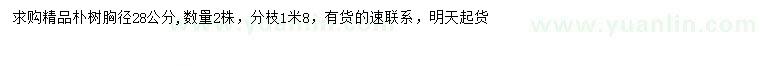 求購胸徑28公分樸樹