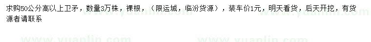 求購高50公分以上衛(wèi)矛