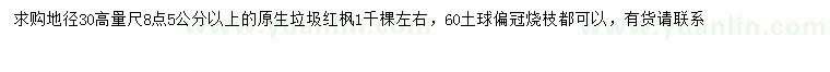 求購30量8.5公分以上紅楓