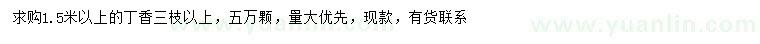 求購1.5米以上丁香