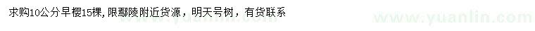 求購10公分早櫻