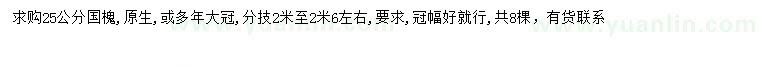 求購25公分國槐