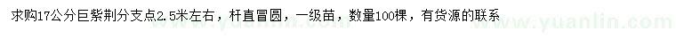 求購17公分巨紫荊