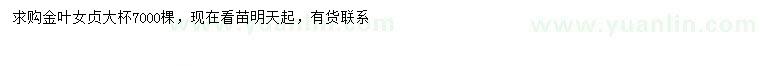 求購(gòu)金葉女貞大杯