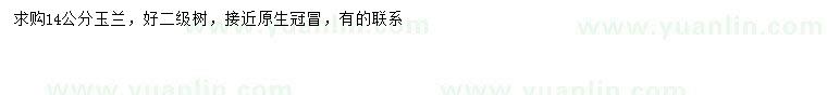 求購14公分玉蘭