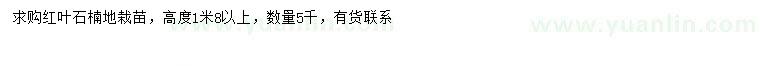 求購(gòu)高1.8米以上紅葉石楠