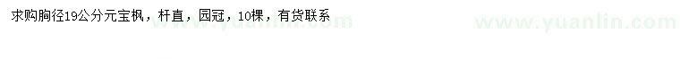 求購胸徑19公分元寶楓