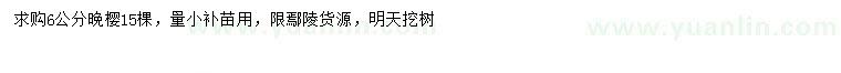 求購(gòu)6公分晚櫻