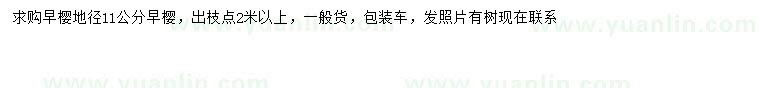 求購(gòu)地徑11公分早櫻