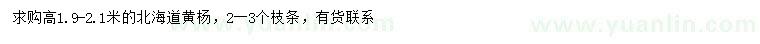 求購(gòu)高1.9一2.1米北海道黃楊