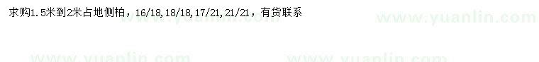 求購1.5-2米側柏