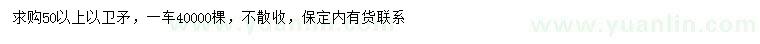 求購50公分以上衛(wèi)矛