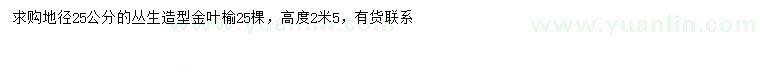 求購地徑25公分造型叢生金葉榆