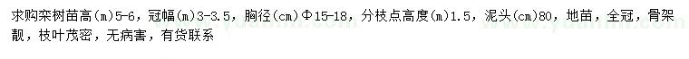 求購胸徑15-18公分欒樹