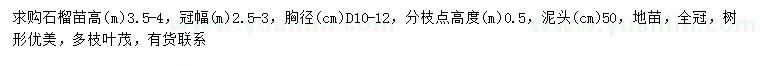 求購地徑10-12公分石榴