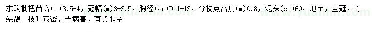 求購地徑11-13公分枇杷