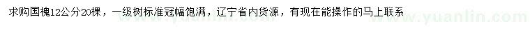 求購12公分國槐
