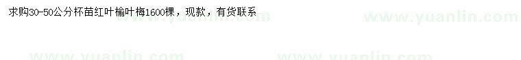 求購30-50公分紅葉榆葉梅