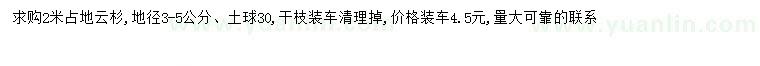 求購2米云杉