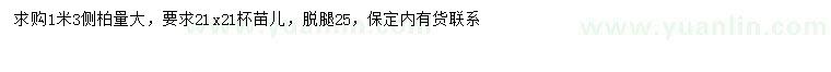 求購1.3米側(cè)柏