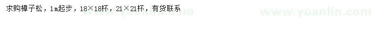 求購1米以上樟子松
