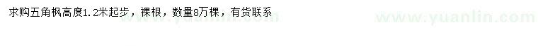 求購(gòu)高1.2米以上五角楓