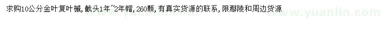 求購10公分金葉復葉槭