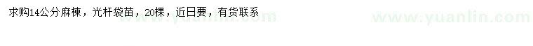 求購14公分麻楝