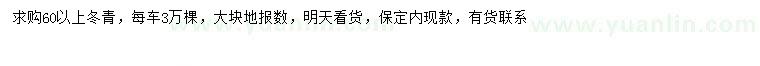 求購60公分以上冬青