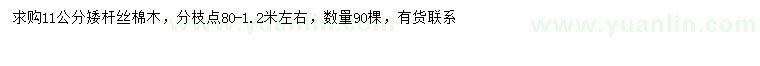 求購(gòu)11公分絲棉木