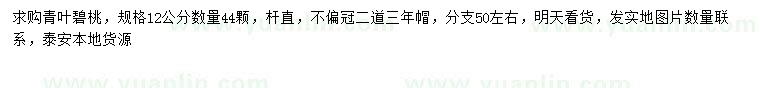 求購12公分青葉碧桃