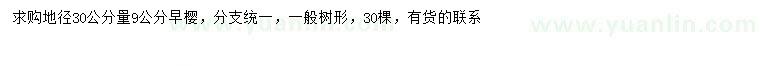 求購(gòu)30量9公分早櫻