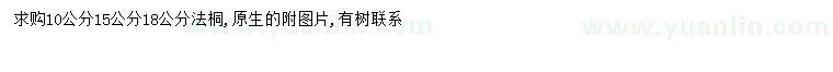 求購10、15、18公分法桐