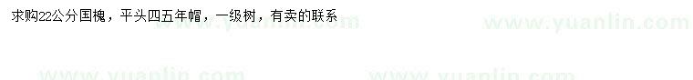 求購(gòu)22公分國(guó)槐