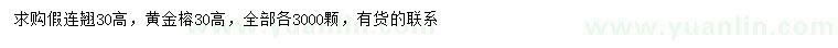 求購高30公分假連翹、黃金榕