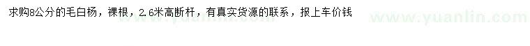 求購(gòu)8公分毛白楊
