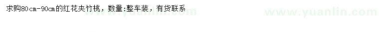 求購80-90公分紅花夾竹桃