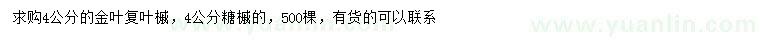 求購4公分金葉復(fù)葉槭、糖槭