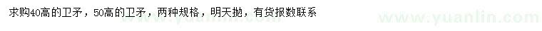 求購(gòu)高40、50公分衛(wèi)矛