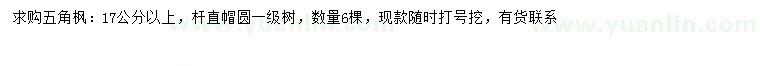 求購17公分以上五角楓