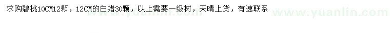 求購10公分碧桃、12公分白蠟
