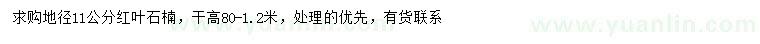 求購地徑11公分紅葉石楠