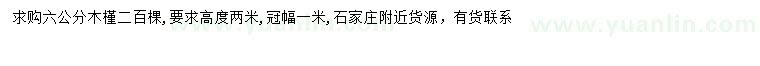 求購6公分木槿