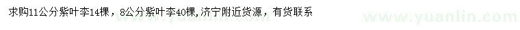 求購(gòu)11公分紫葉李、8公分紫葉李