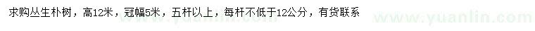 求購冠幅5米叢生樸樹