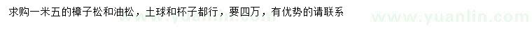 求購1.5米樟子松、油松