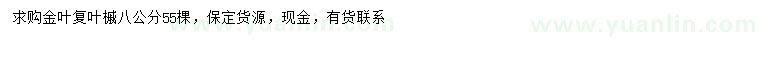 求購8公分金葉復(fù)葉槭