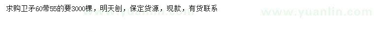 求購(gòu)55、60公分衛(wèi)矛