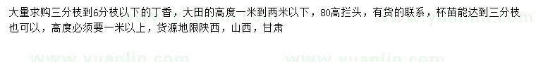 求購高1-2米丁香