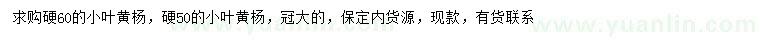 求購50、60公分小葉黃楊